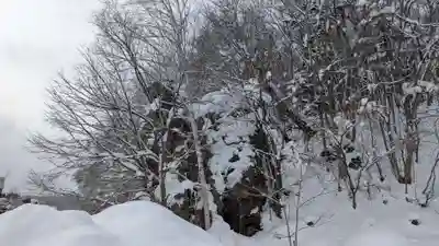水神龍王神社の自然