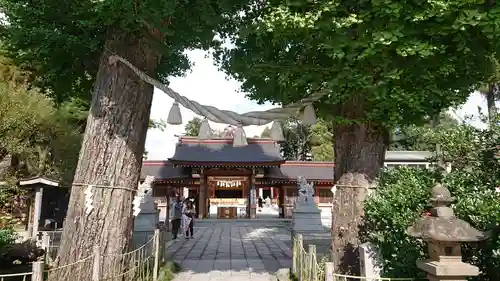 亀ケ池八幡宮の鳥居