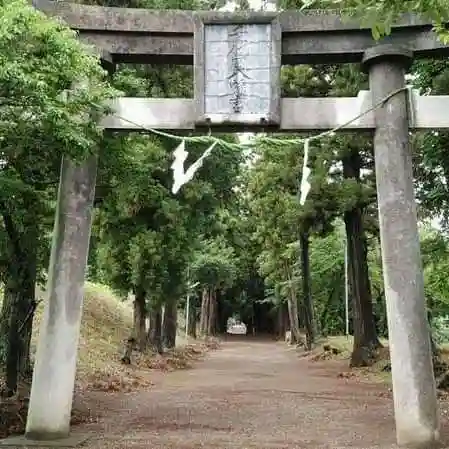 千代ケ岡八幡宮の鳥居