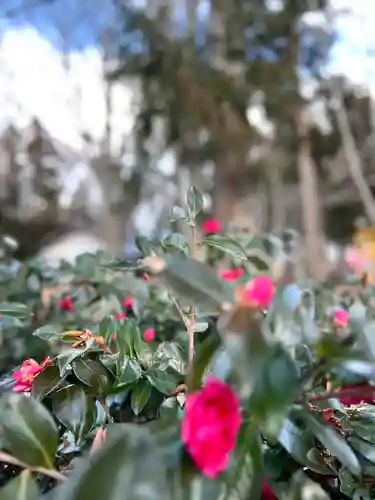 縣諏訪神社(長野県)