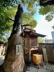 堀越神社(大阪府)