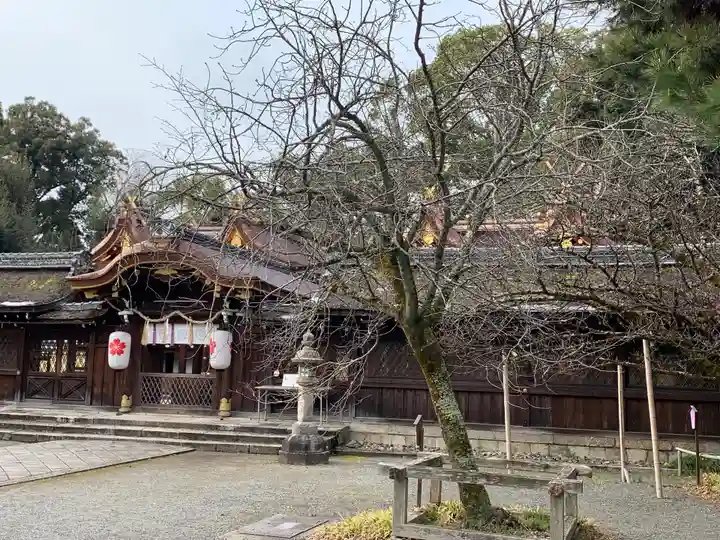 平野神社(京都府)