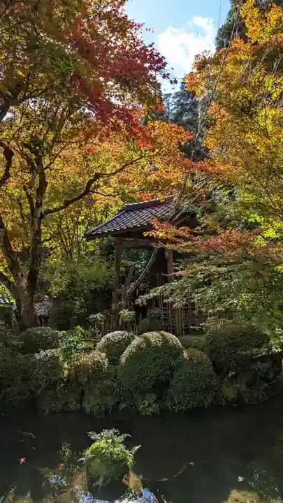 寂光院(京都府)