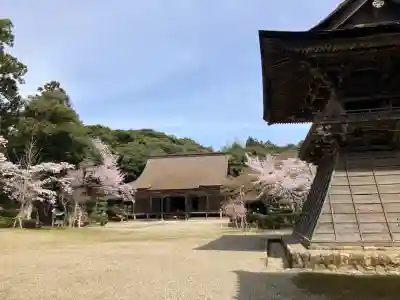 妙成寺の{uncategorized: "未分類", other: "その他", undefined: "問題あり", building: "その他建物", grave: "お墓", sacred_gate: "鳥居", guardian: "狛犬", statue: "像", buddha: "仏像", history: "歴史", nature: "自然", garden: "庭園", animal: "動物", pagoda: "塔", temizu: "手水舎", mountain_gate: "山門・神門", sanctuary: "本殿・本堂", subordinate: "末社・摂社", art: "芸術", scenery: "景色", jizo: "地蔵", ema: "絵馬", goshuin: "御朱印", omikuji: "おみくじ", items: "授与品その他", amulet: "お守り", goshuincho: "御朱印帳", eats: "食事", festival: "お祭り", votive_dance: "神楽", shichigosan: "七五三参", wedding: "結婚式", experience: "体験その他", initially: "初詣", around: "周辺", anti_infection: "感染症対策"}