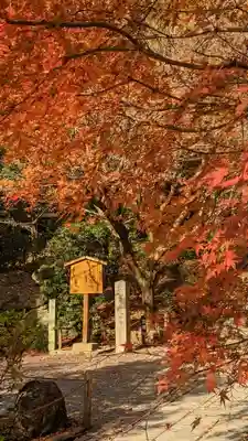 龍安寺(京都府)