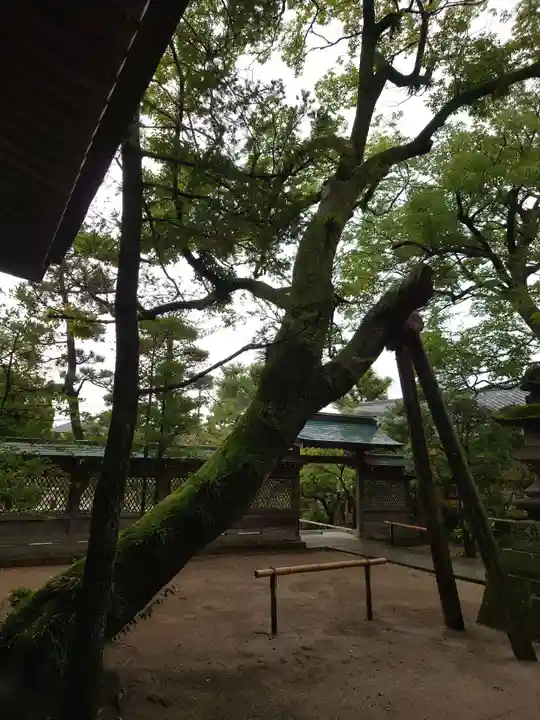 白幡天神社(千葉県)
