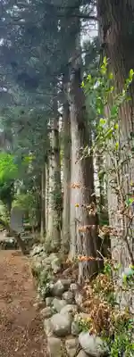 淡嶋神社(宮城県)