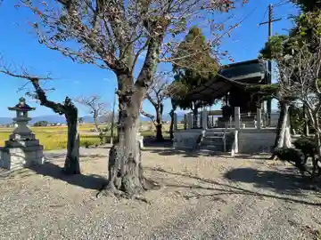 若宮神社(滋賀県)