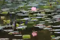 三光稲荷神社の周辺