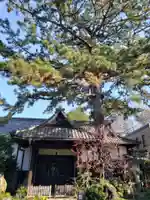 玄国寺の本殿・本堂