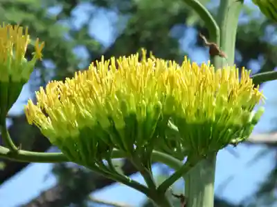 烏森神社(東京都)