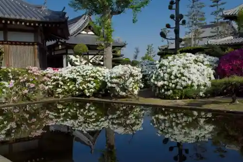 法雲寺のその他建物