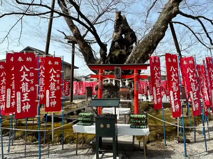 秩父今宮神社(埼玉県)