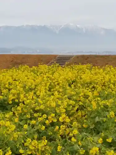 勝部神社(滋賀県)
