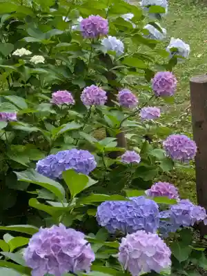 花巻神社(岩手県)