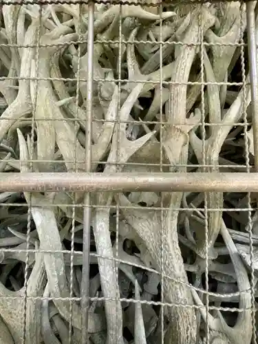 志賀海神社(福岡県)