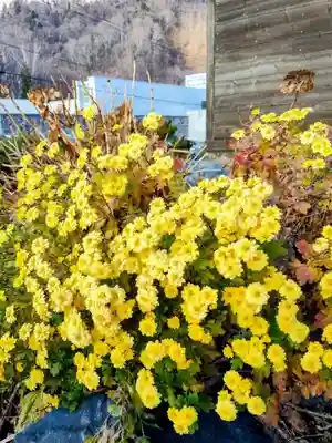 黄金龍神社(桂不動)(北海道)