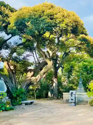 宝戒寺(神奈川県)