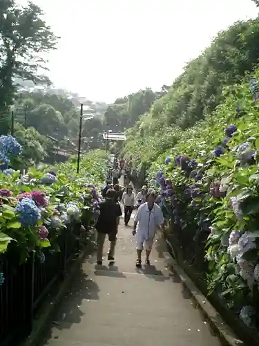 成就院の景色