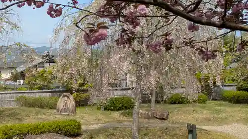 圓光寺(京都府)