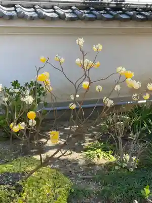 寳珠院（宝珠院）(大阪府)