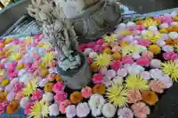 三室戸寺の手水舎