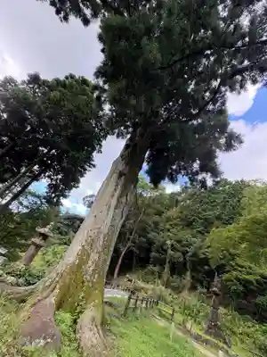 普門寺(切り絵御朱印発祥の寺)(愛知県)