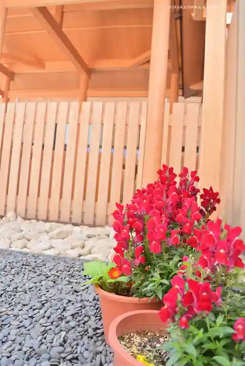 【閉業】小石川大神宮(東京都)