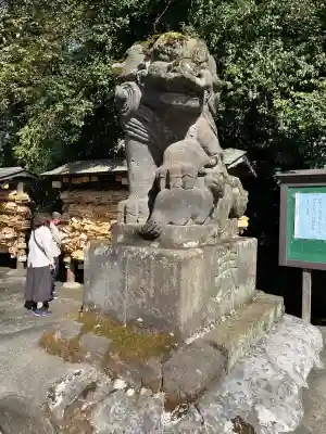 谷保天満宮の{uncategorized: "未分類", other: "その他", undefined: "問題あり", building: "その他建物", grave: "お墓", sacred_gate: "鳥居", guardian: "狛犬", statue: "像", buddha: "仏像", history: "歴史", nature: "自然", garden: "庭園", animal: "動物", pagoda: "塔", temizu: "手水舎", mountain_gate: "山門・神門", sanctuary: "本殿・本堂", subordinate: "末社・摂社", art: "芸術", scenery: "景色", jizo: "地蔵", ema: "絵馬", goshuin: "御朱印", omikuji: "おみくじ", items: "授与品その他", amulet: "お守り", goshuincho: "御朱印帳", eats: "食事", festival: "お祭り", votive_dance: "神楽", shichigosan: "七五三参", wedding: "結婚式", experience: "体験その他", initially: "初詣", around: "周辺", anti_infection: "感染症対策"}