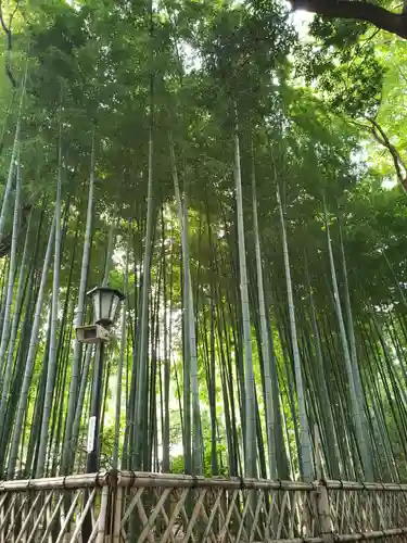 大宮八幡宮のその他建物