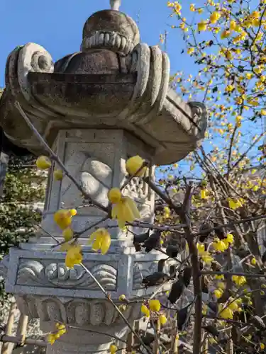 北野神社(東京都)