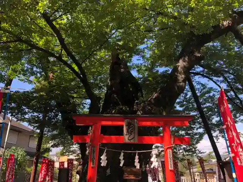 秩父今宮神社の鳥居