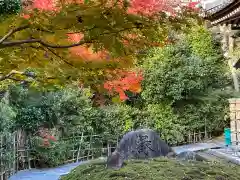 安楽寺(京都府)