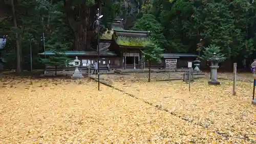 若狭姫神社（若狭彦神社下社）の本殿