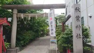 秋葉神社の鳥居