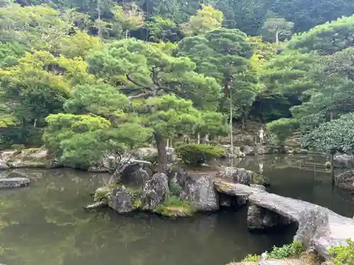 慈照寺（慈照禅寺・銀閣寺）の庭園