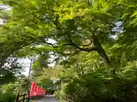 普門寺(切り絵御朱印発祥の寺)のその他建物