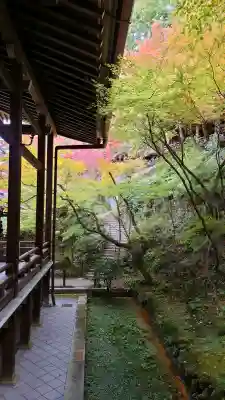 禅林寺（永観堂）の{uncategorized: "未分類", other: "その他", undefined: "問題あり", building: "その他建物", grave: "お墓", sacred_gate: "鳥居", guardian: "狛犬", statue: "像", buddha: "仏像", history: "歴史", nature: "自然", garden: "庭園", animal: "動物", pagoda: "塔", temizu: "手水舎", mountain_gate: "山門・神門", sanctuary: "本殿・本堂", subordinate: "末社・摂社", art: "芸術", scenery: "景色", jizo: "地蔵", ema: "絵馬", goshuin: "御朱印", omikuji: "おみくじ", items: "授与品その他", amulet: "お守り", goshuincho: "御朱印帳", eats: "食事", festival: "お祭り", votive_dance: "神楽", shichigosan: "七五三参", wedding: "結婚式", experience: "体験その他", initially: "初詣", around: "周辺", anti_infection: "感染症対策"}