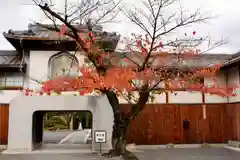 総持寺の山門