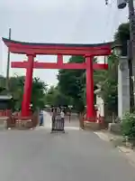 鷲宮神社の鳥居