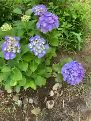 赤城神社の自然