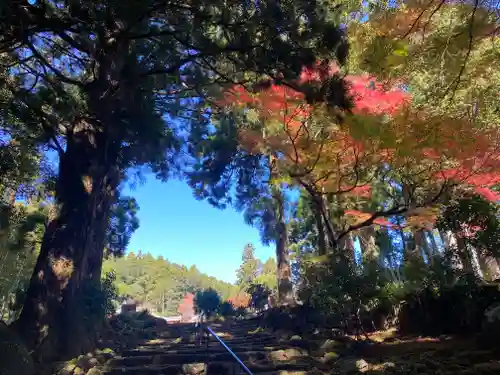 阿弥陀寺(和歌山県)
