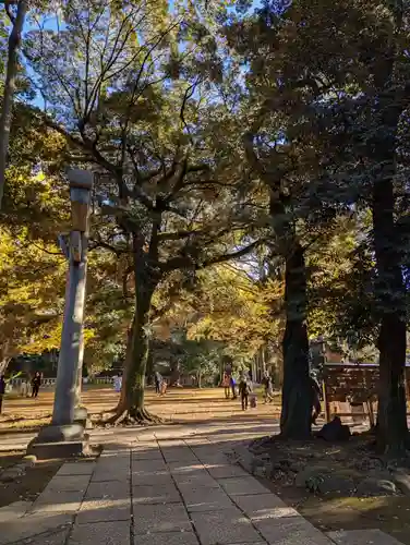 赤坂氷川神社(東京都)