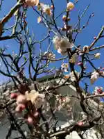 天河大辨財天社の御朱印