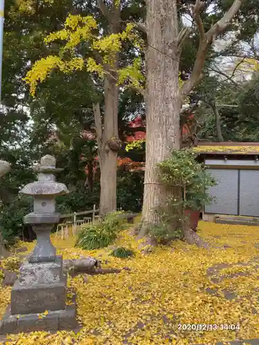 御嶽神社の自然