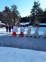 北海道神宮の初詣