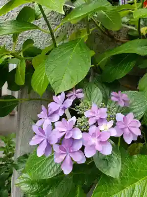 十番稲荷神社(東京都)