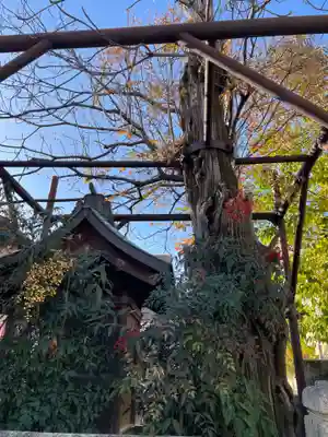 大宮姫命稲荷大神(京都府)