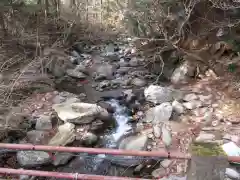 花園神社の自然