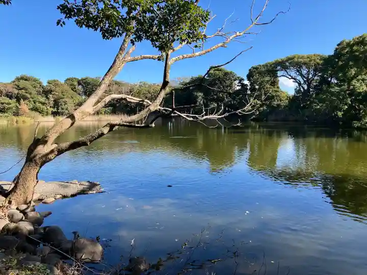 大瀬神社(静岡県)